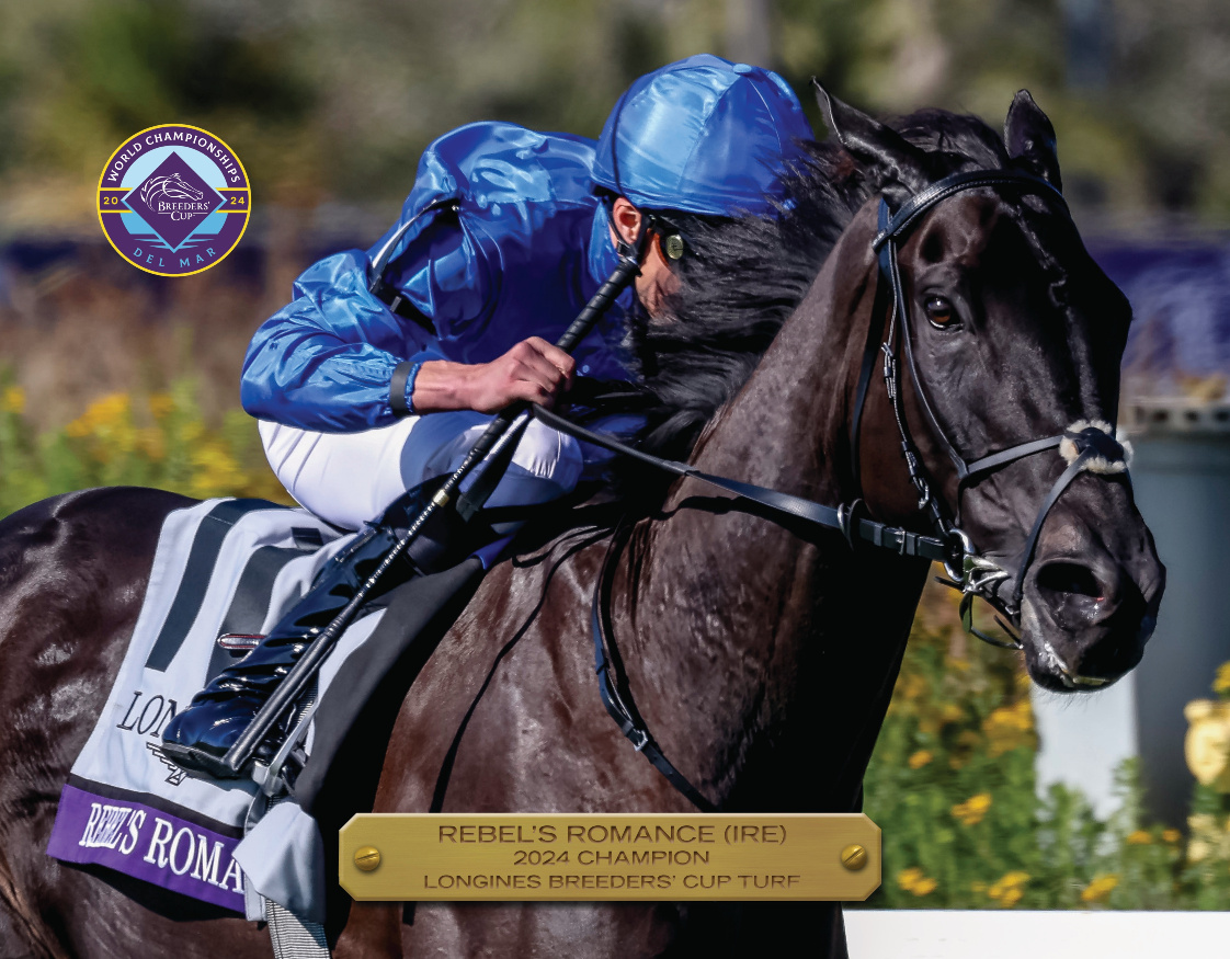 2024 Breeders&#39; Cup Turf Champion