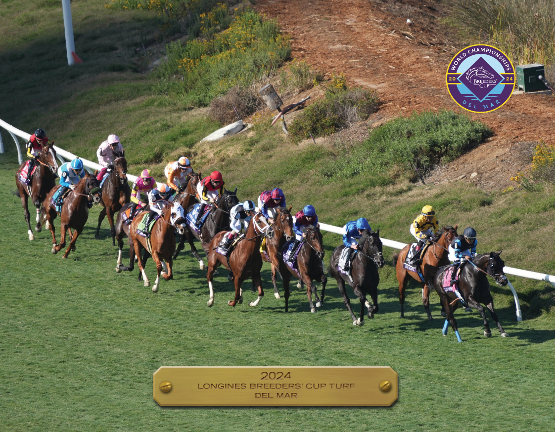 2024 Breeders&#39; Cup Turf Participant
