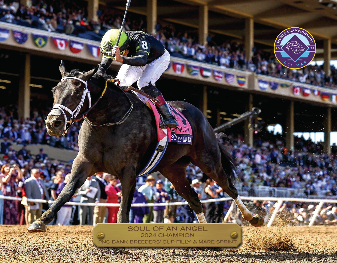 2024 Breeders&#39; Cup Filly & Mare Sprint Champion