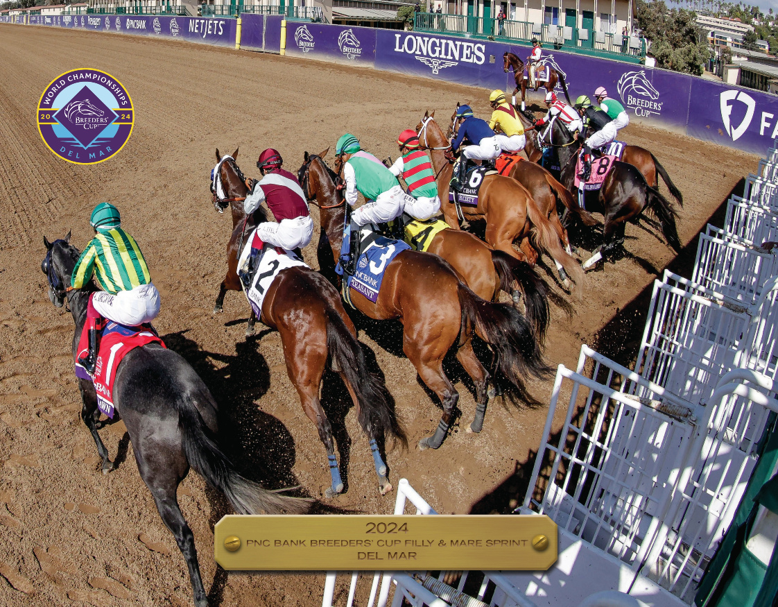 2024 Breeders&#39; Cup Filly & Mare Sprint Participant