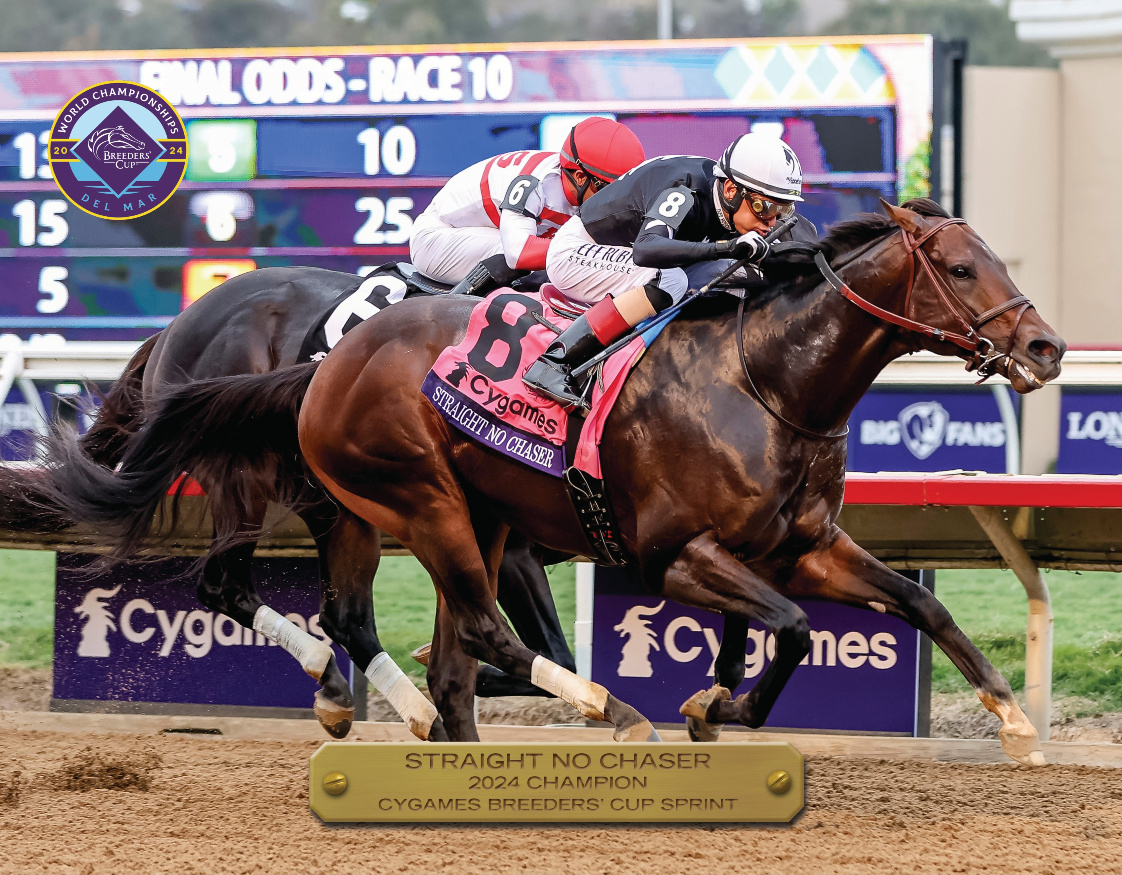 2024 Breeders&#39; Cup Sprint Champion