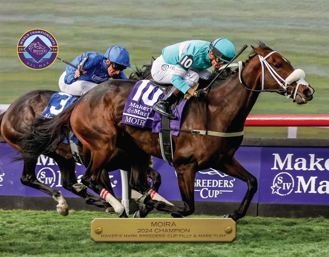 2024 Breeders&#39; Cup Filly and Mare Turf Champion
