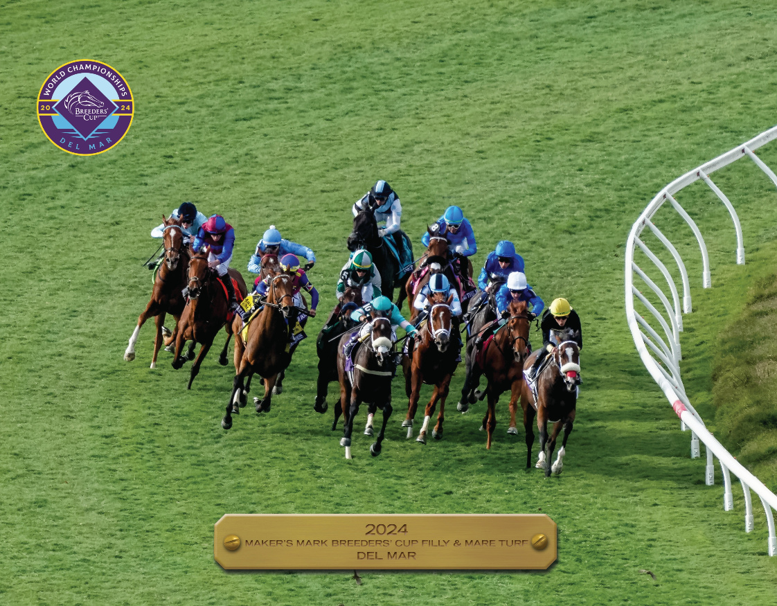 2024 Breeders&#39; Cup Filly and Mare Turf Participant