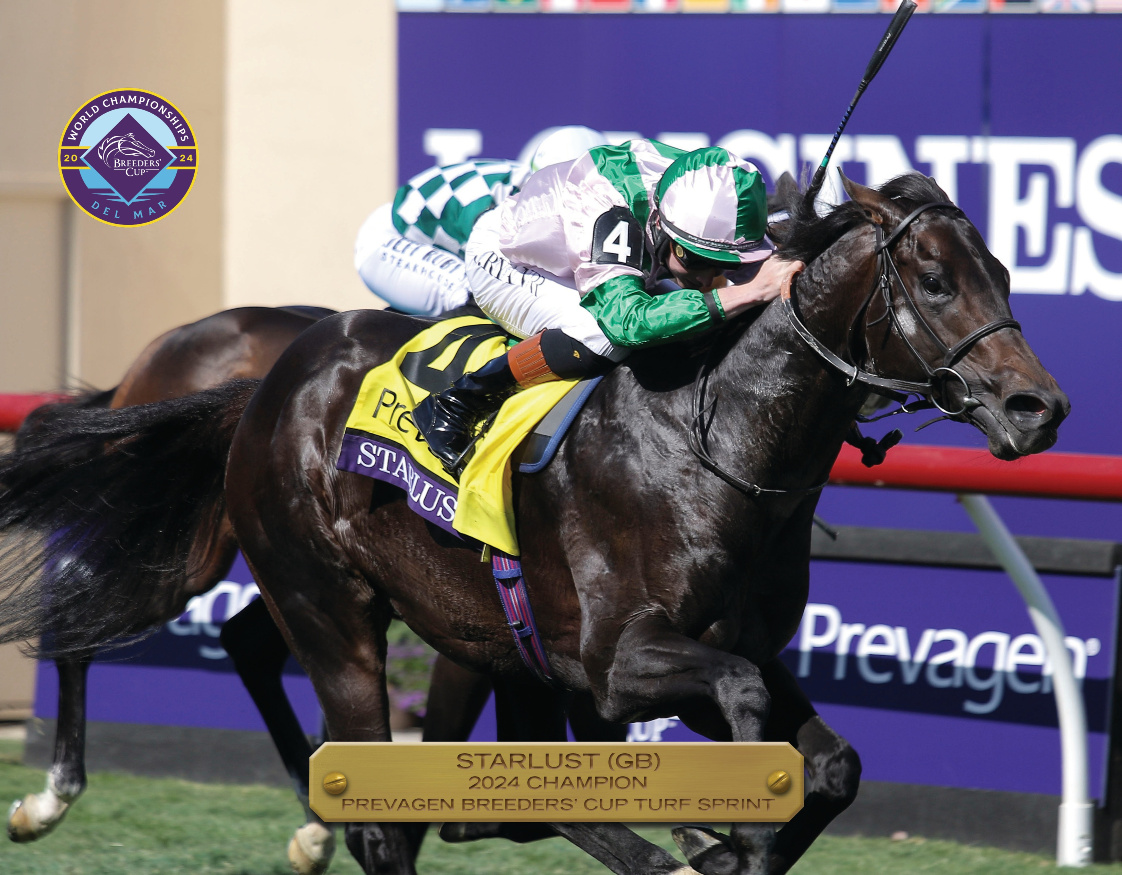 2024 Breeders&#39; Cup Turf Sprint Champion
