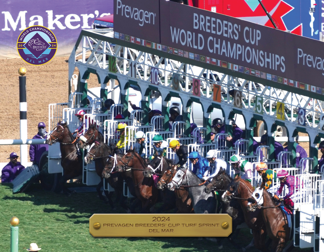 2024 Breeders&#39; Cup Turf Sprint Participant