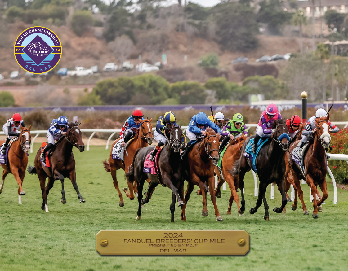 2024 Breeders&#39; Cup Mile Participant