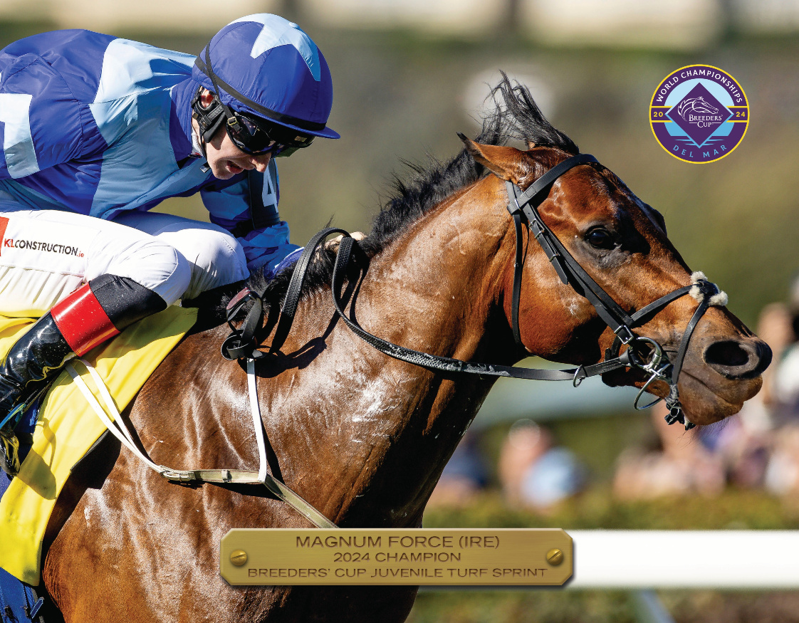 2024 Juvenile Turf Sprint Champion