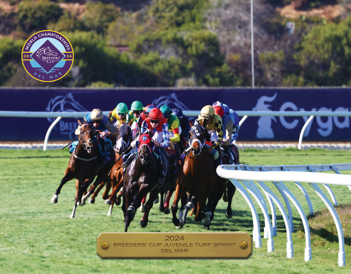 2024 Juvenile Turf Sprint Participant