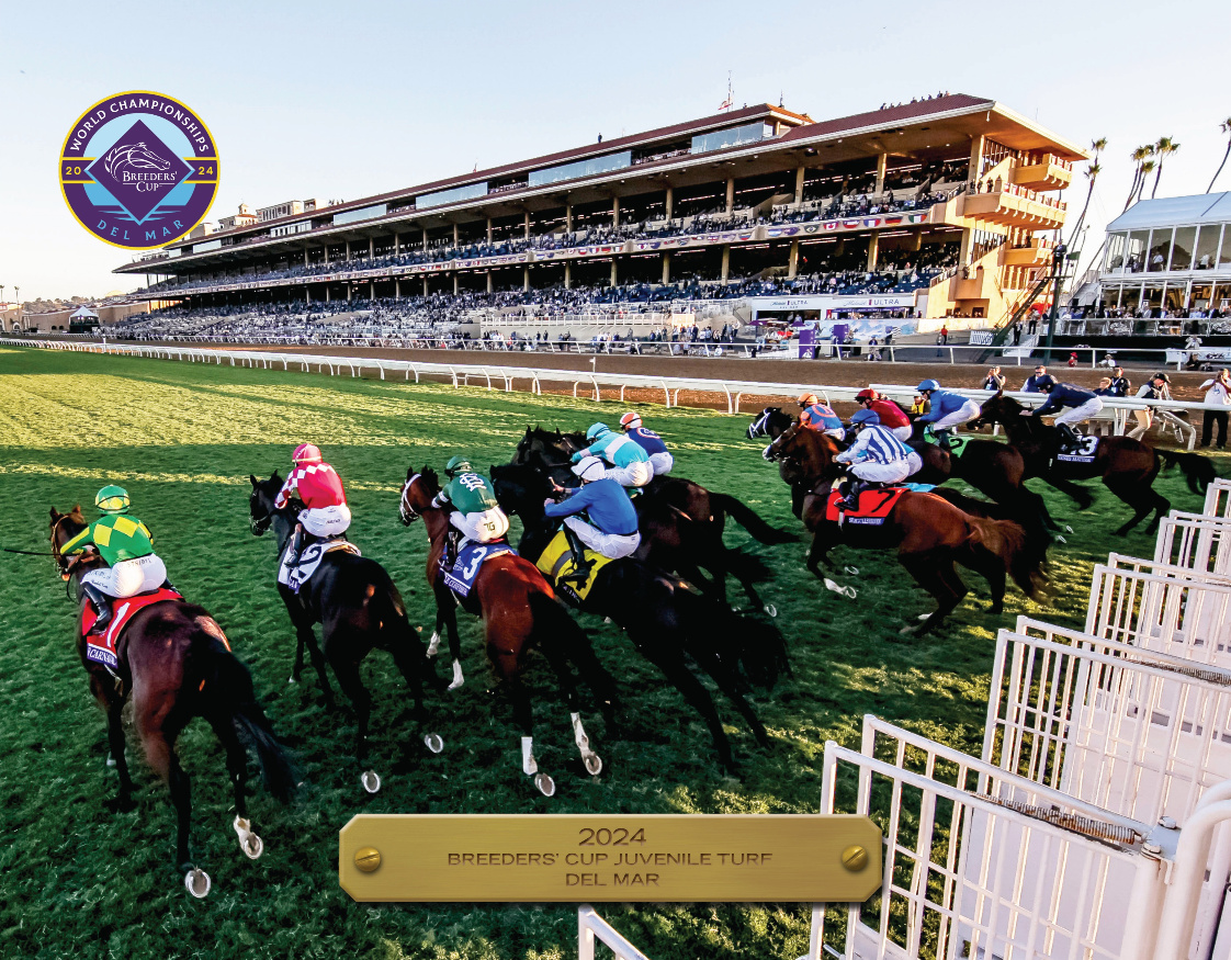 2024 Breeders&#39; Cup Juvenile Turf Participant