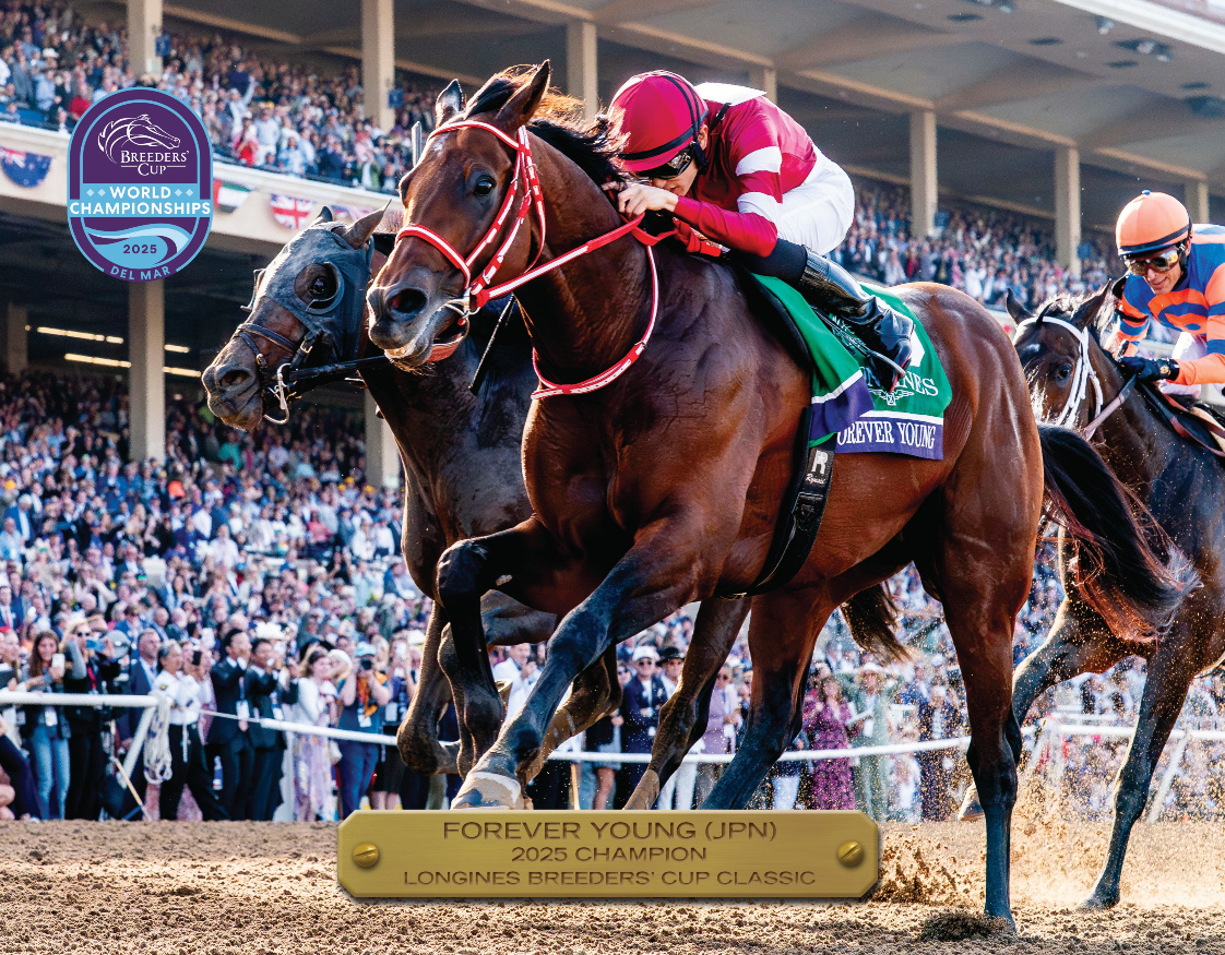 2025 Longines Breeders' Cup Classic