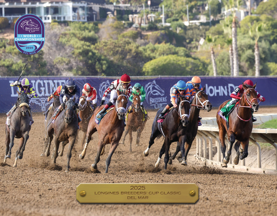 2025 Longines Breeders' Cup Classic Participant