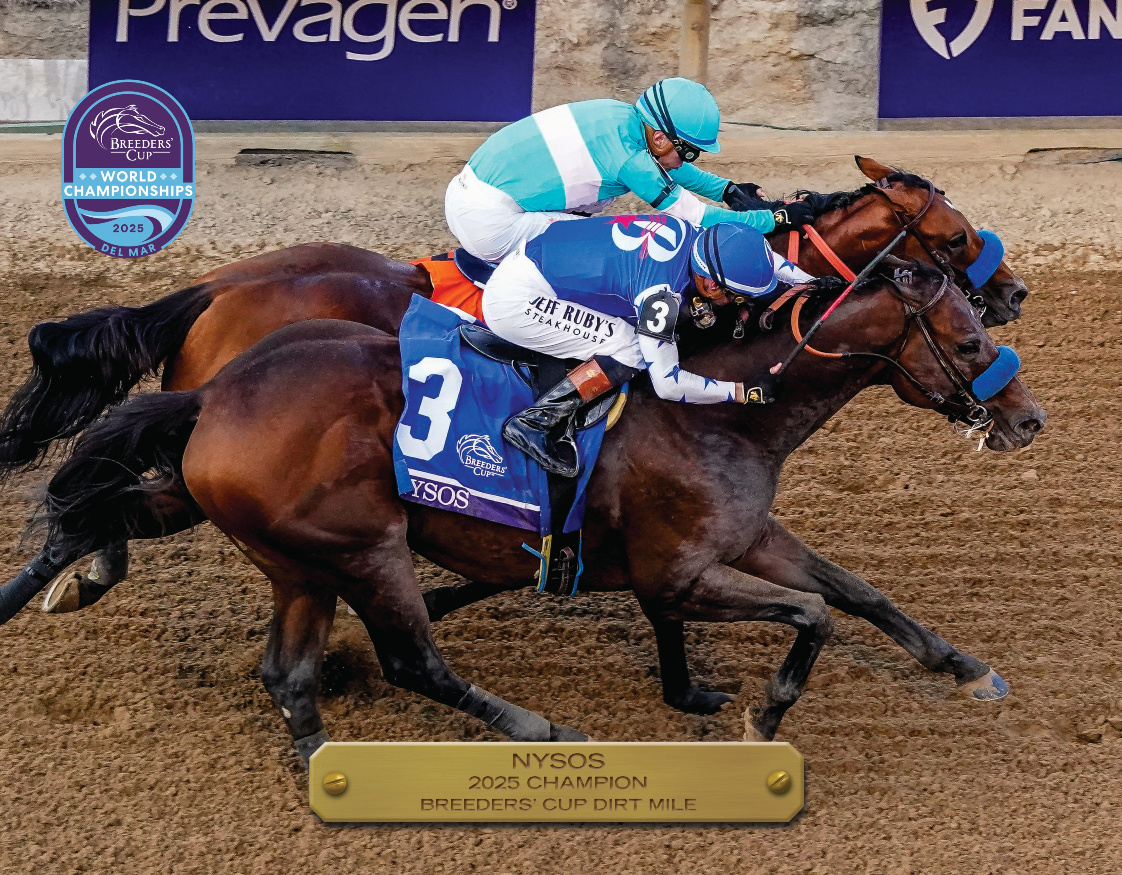 2025 Breeders' Cup Dirt Mile Champion
