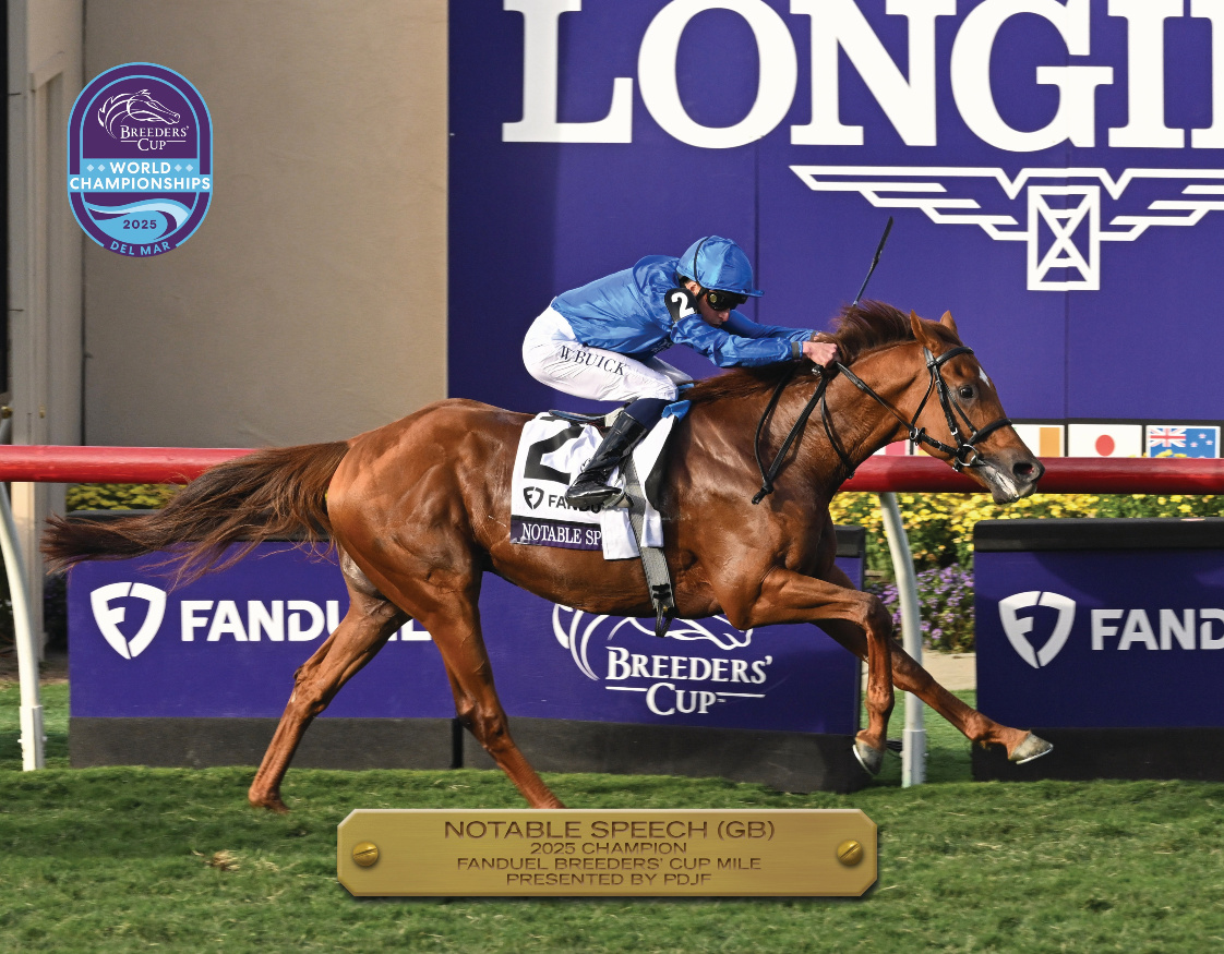 2025 FanDuel Breeders' Cup Mile Champion