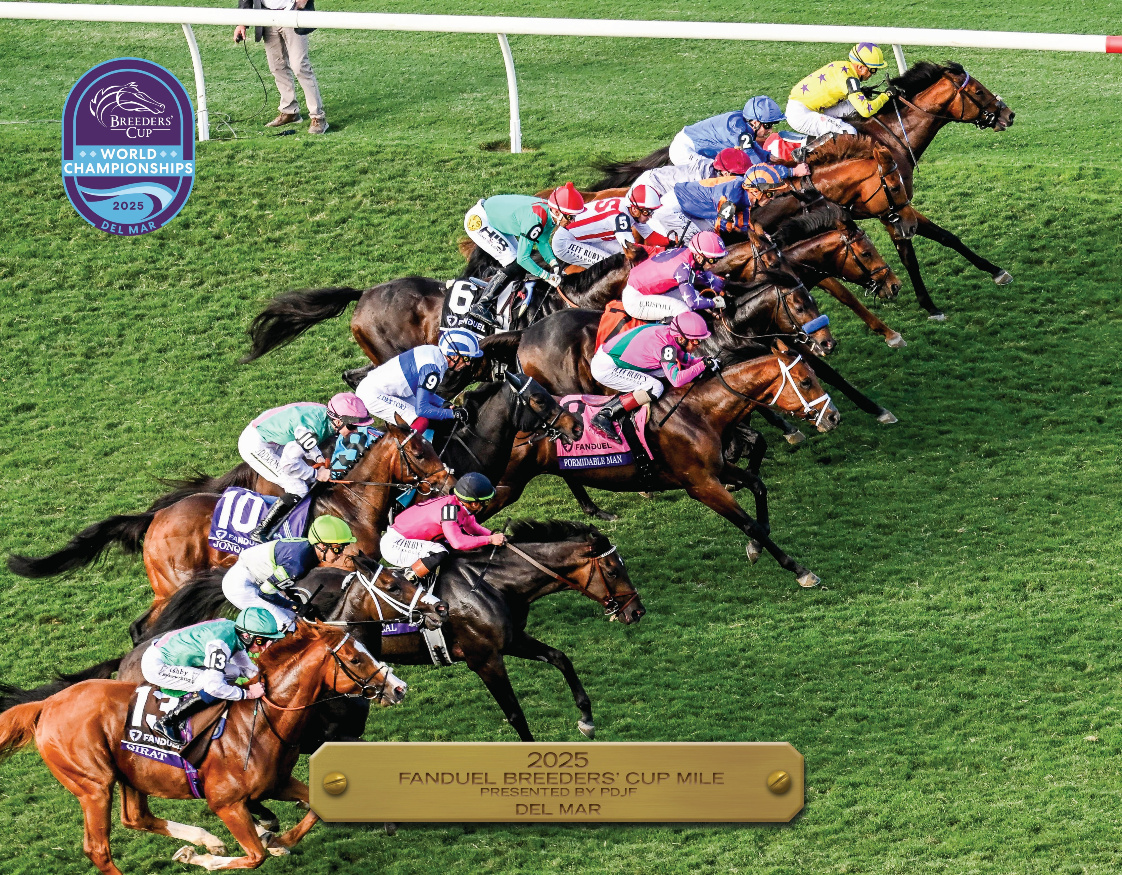 2025 FanDuel Breeders' Cup Mile Participant