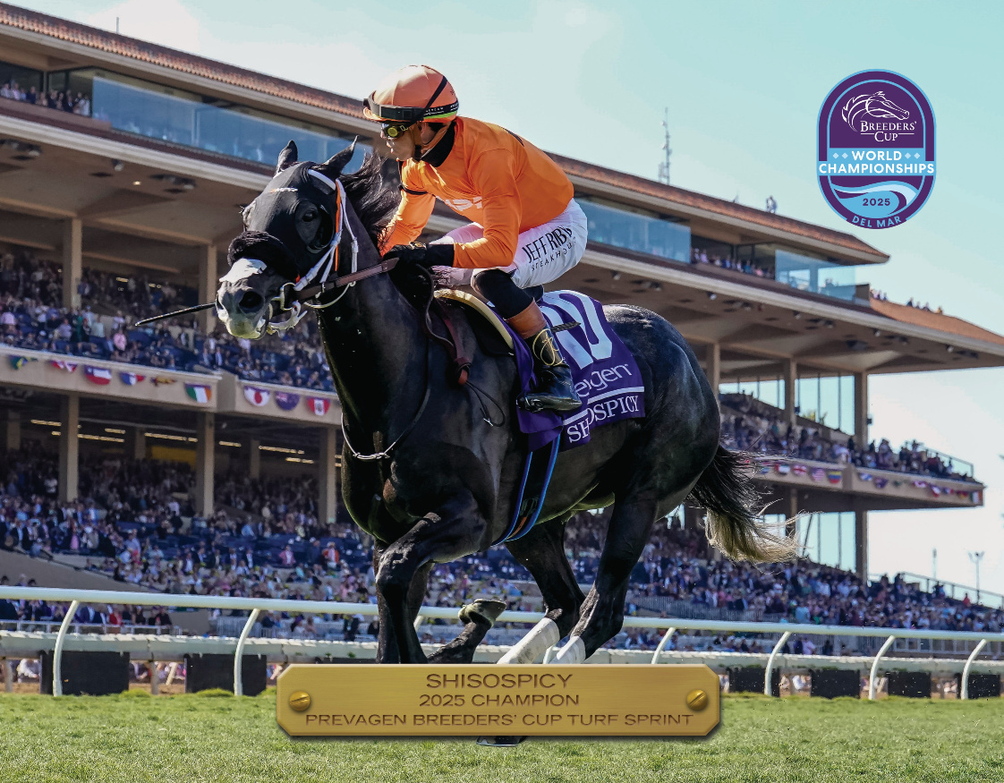 2025 Prevagen Breeders' Cup Turf Sprint Champion