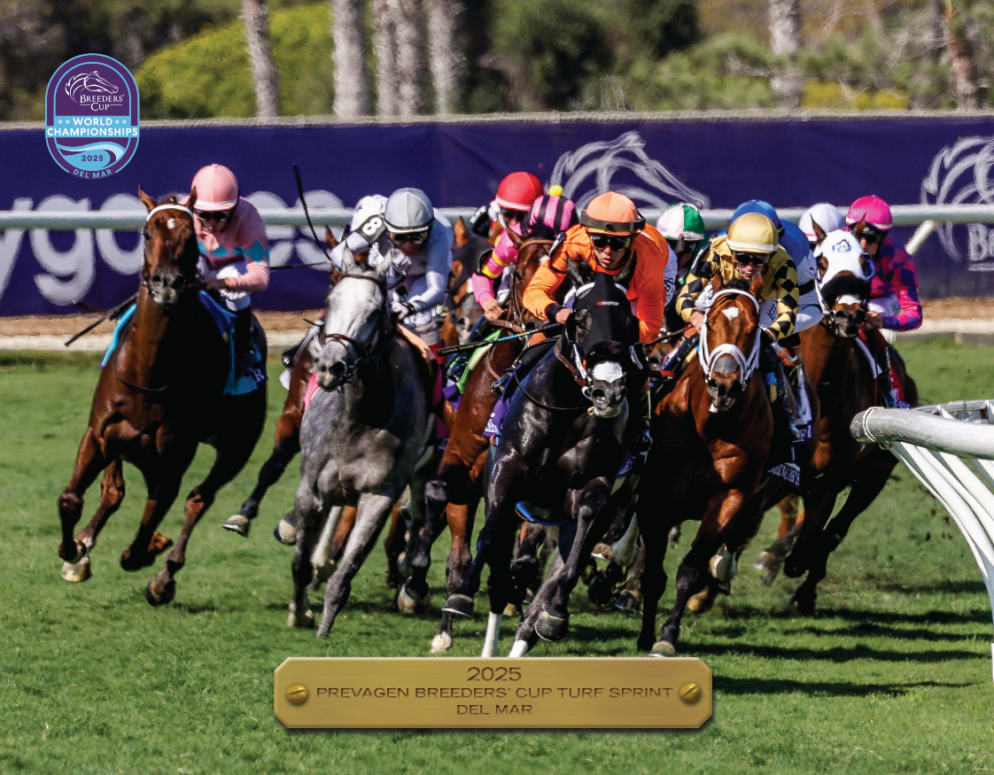 2025 Prevagen Breeders' Cup Turf Sprint Participant