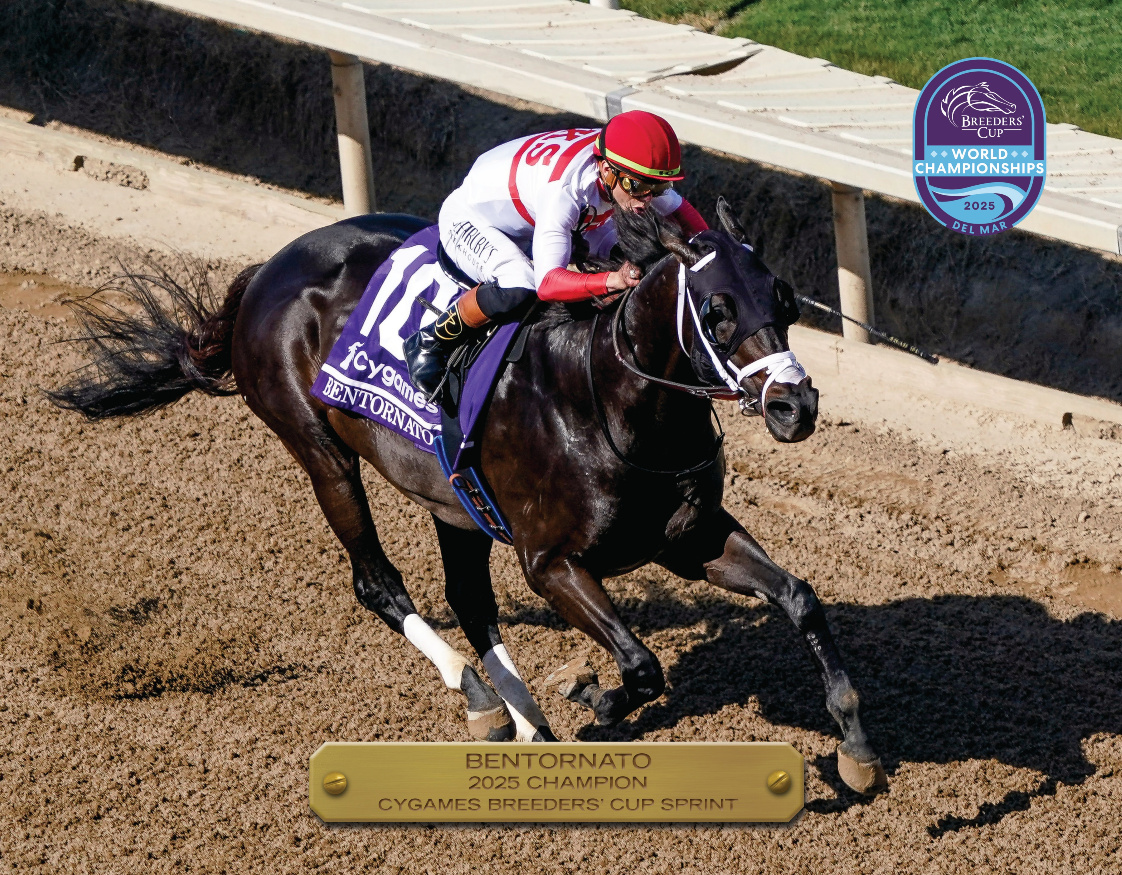 2025 Cygames Breeders' Cup Sprint Champion