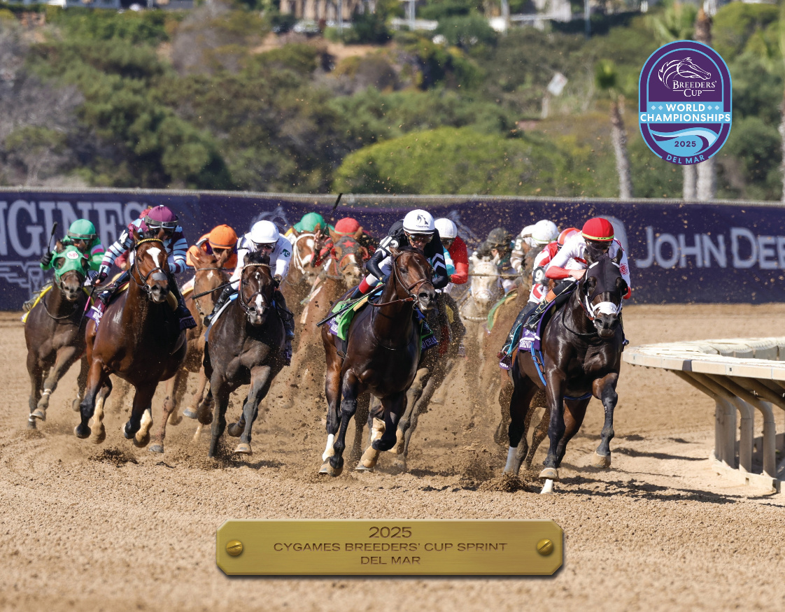 2025 Cygames Breeders' Cup Sprint Participant