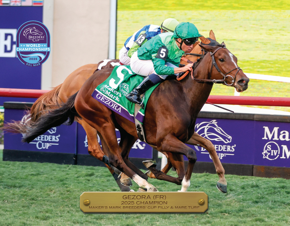 2025 Maker's Mark Breeders' Cup Filly and Mare Turf Cham