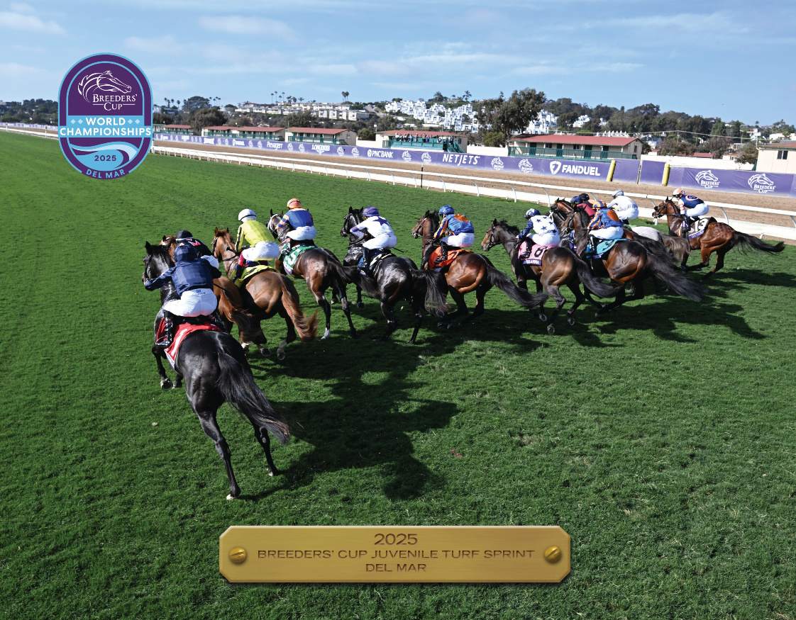 2025 Breeders' Cup Juvenile Turf Sprint Participant