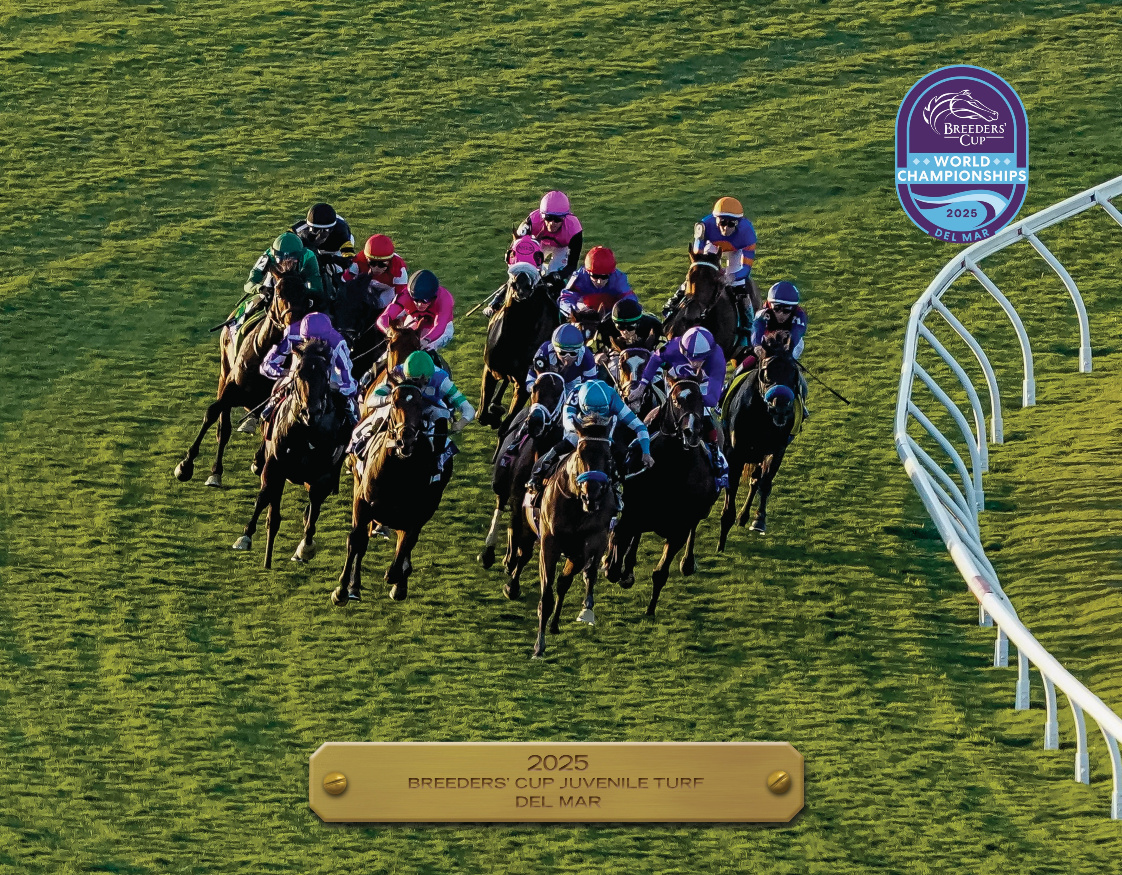 2025 Breeders' Cup Juvenile Turf Participant