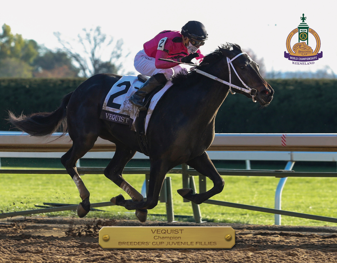 2020 Breeders’ Cup Juvenile Fillies Champion Book