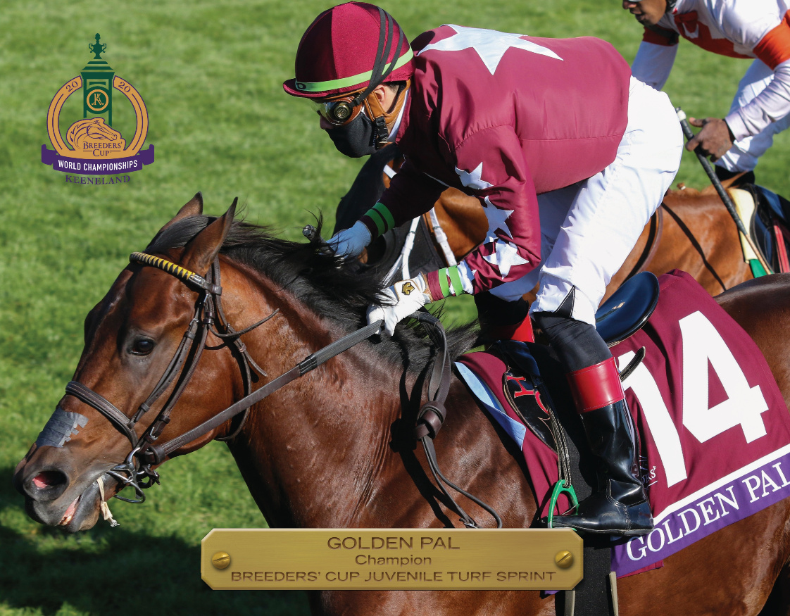 2020 Breeders’ Cup Juvenile Turf Sprint Champion Book