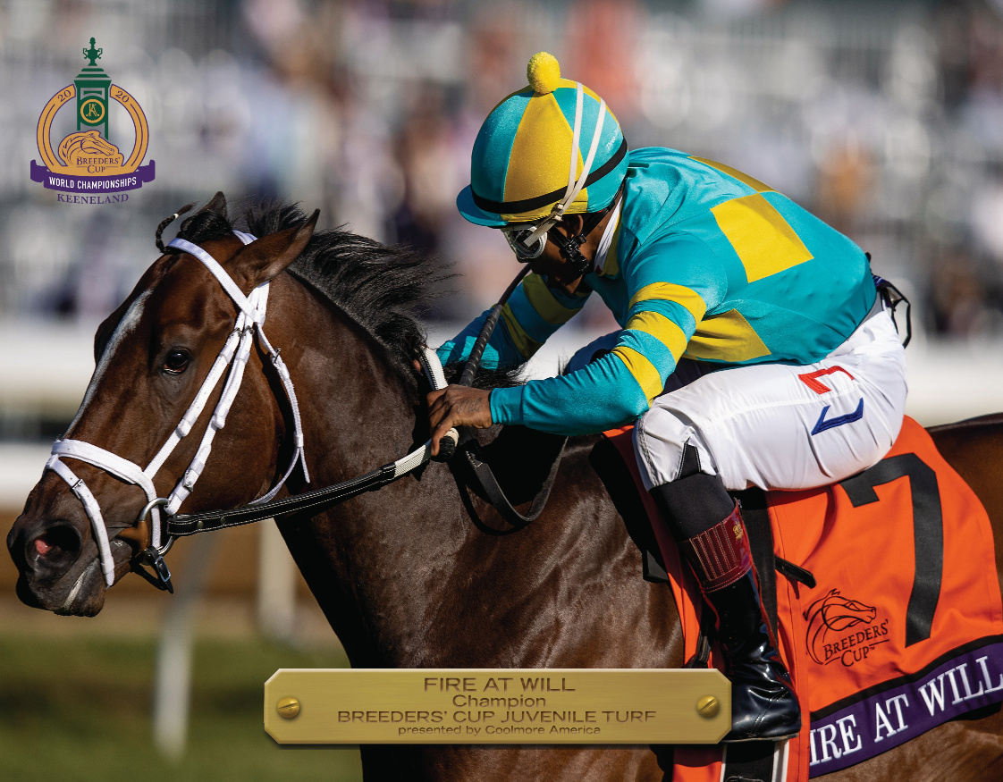 2020 Breeders’ Cup Juvenile Turf Champion Book