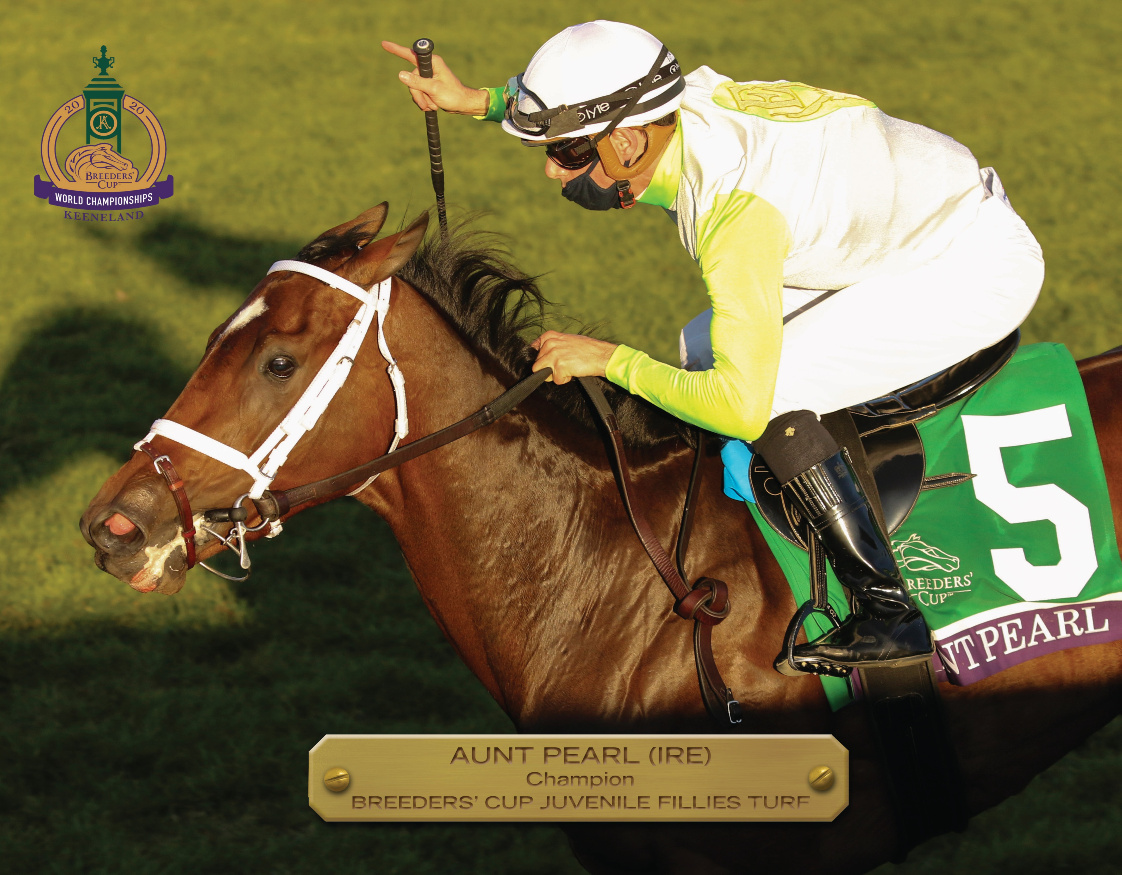 2020 Breeders’ Cup Juvenile Fillies Turf Champion Book