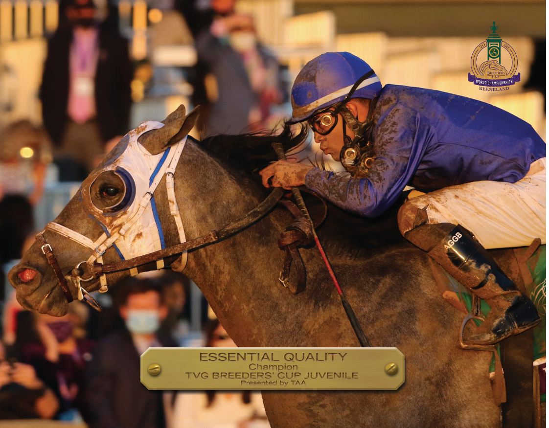 2020 Breeders’ Cup Juvenile Champion Book