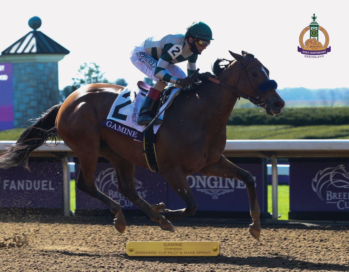 2020 Breeders’ Cup Filly & Mare Sprint Champion Book