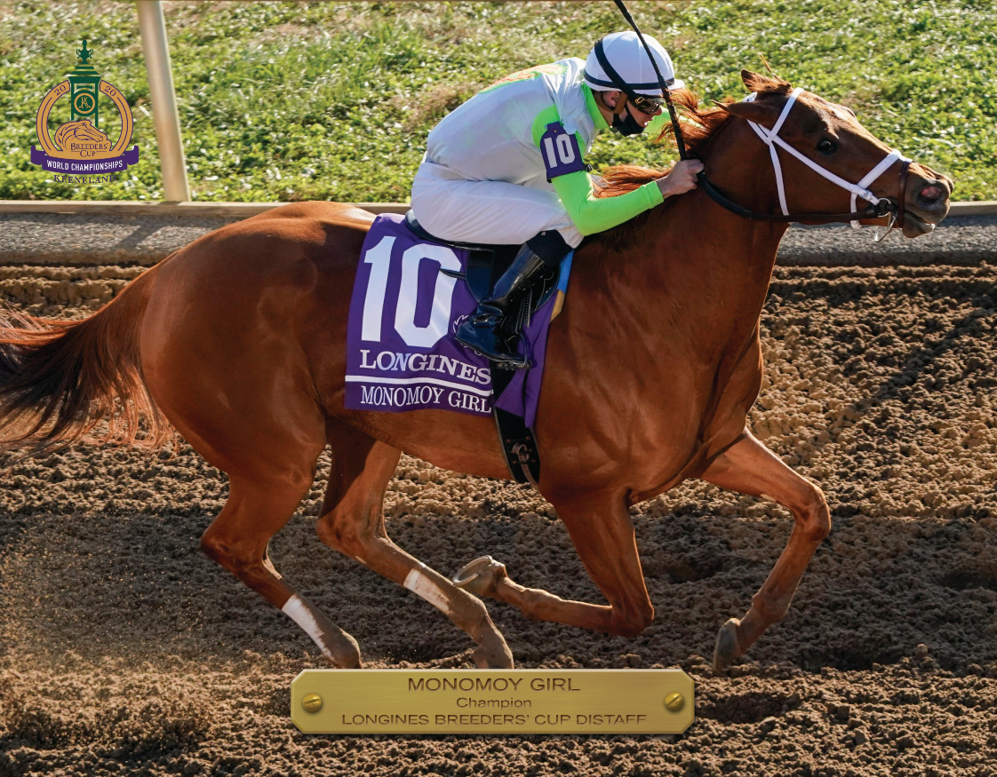 2020 Breeders’ Cup Distaff Champion Book