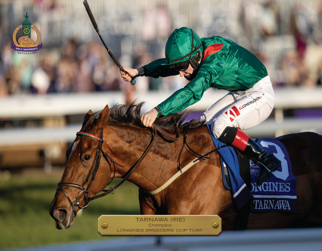 2020 Breeders&#39; Cup Turf Champion Book