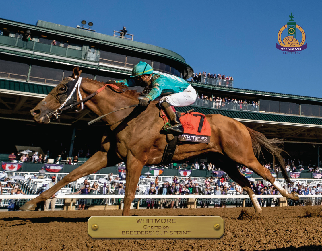 2020 Breeders&#39; Cup Sprint Champion Book