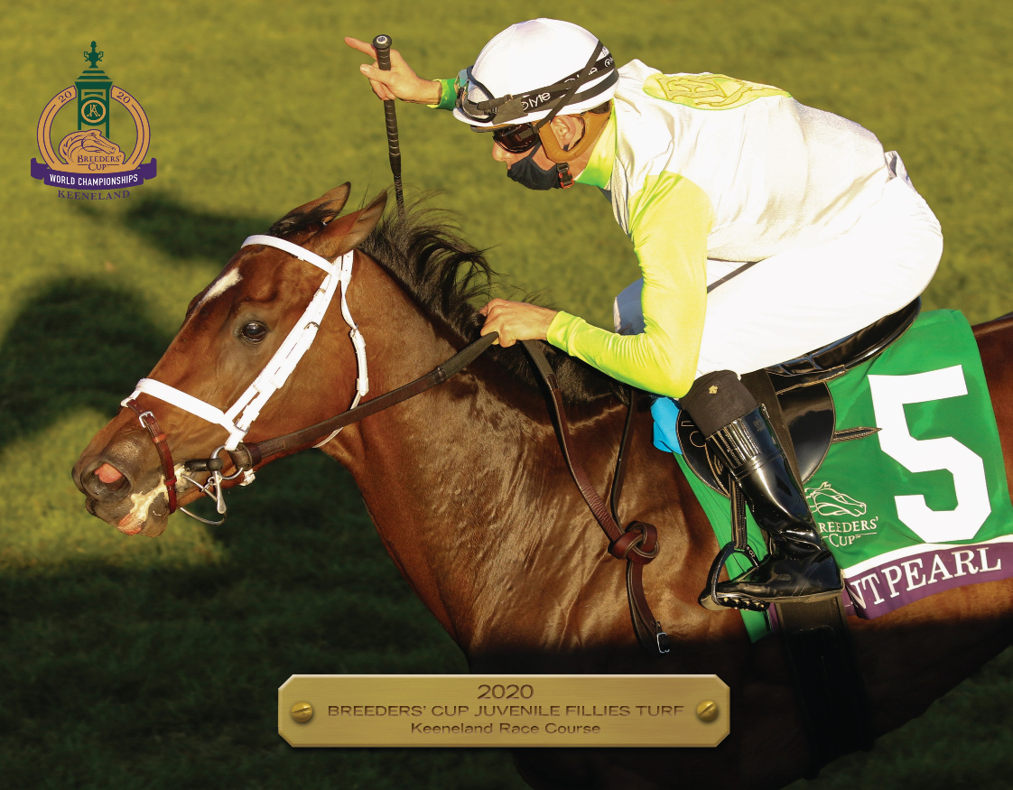 2020 Breeders’ Cup Juvenile Fillies Turf Participant Book