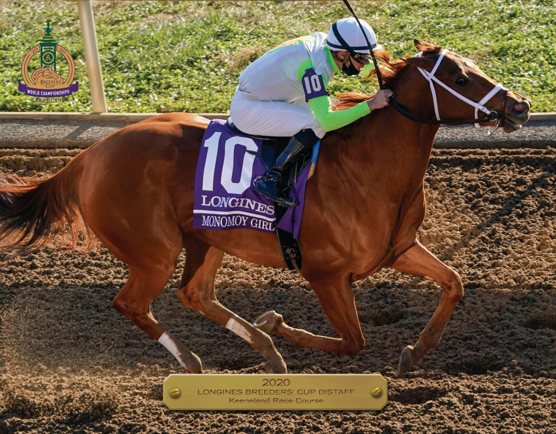 2020 Breeders’ Cup Distaff Participant Book