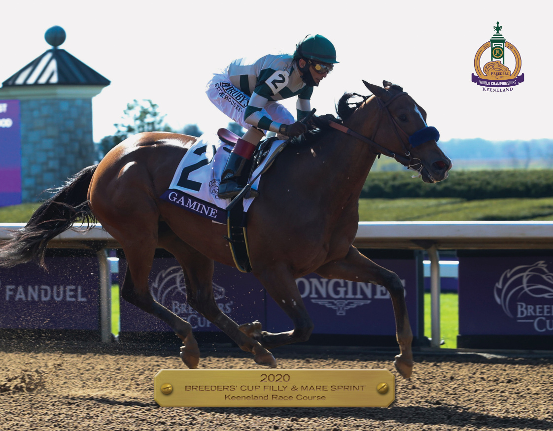 2020 Breeders’ Cup Filly & Mare Sprint Participant Book