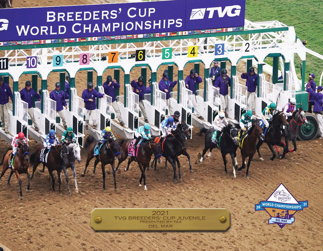 2021 Breeders&#39; Cup Juvenile Participant