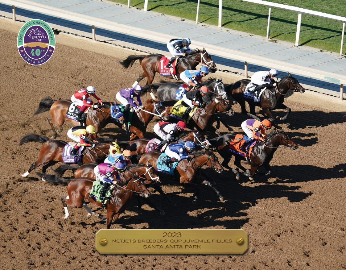 2023 NetJets Breeders' Cup Juvenile Fillies Participant Adobe