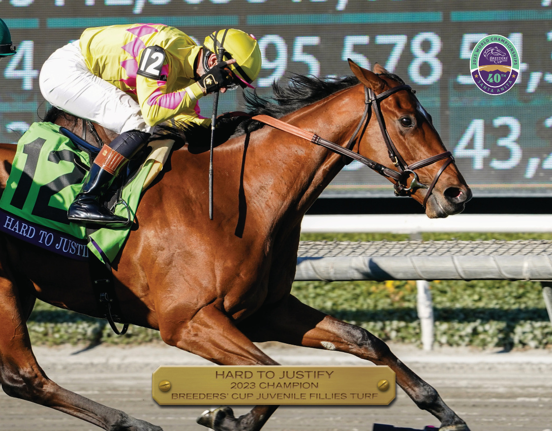 2023 Breeders&#39; Cup Juvenile Fillies Turf Champion