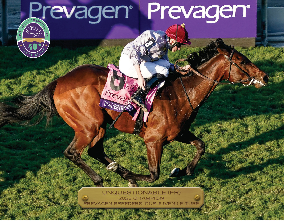 2023 Prevagen Breeders&#39; Cup Juvenile Turf Champion