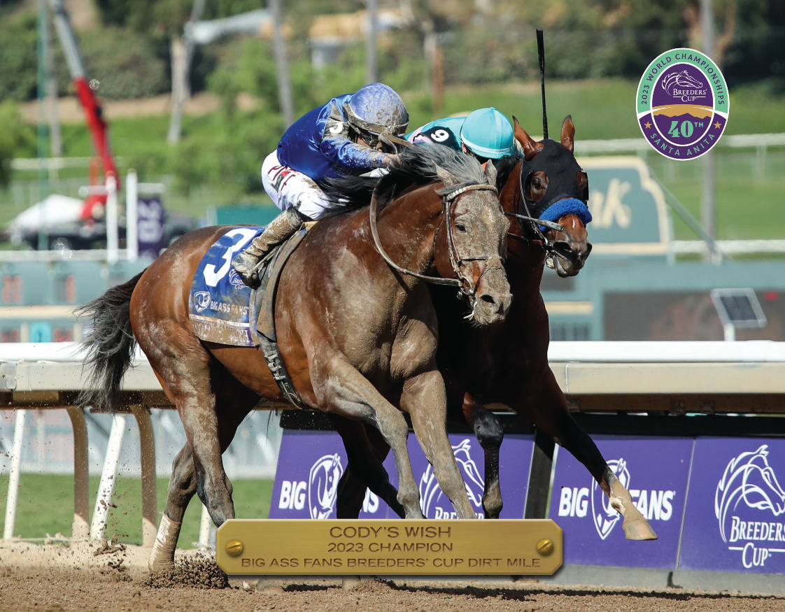 2023 Big Ass Fans Breeders' Cup Dirt Mile Champion Adobe InDesign