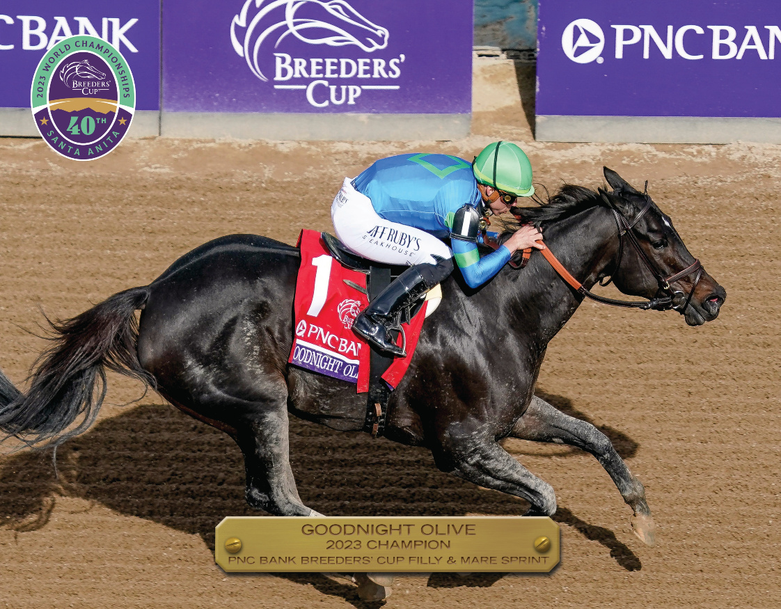 2023 PNC Bank Breeders&#39; Cup Filly & Mare Sprint