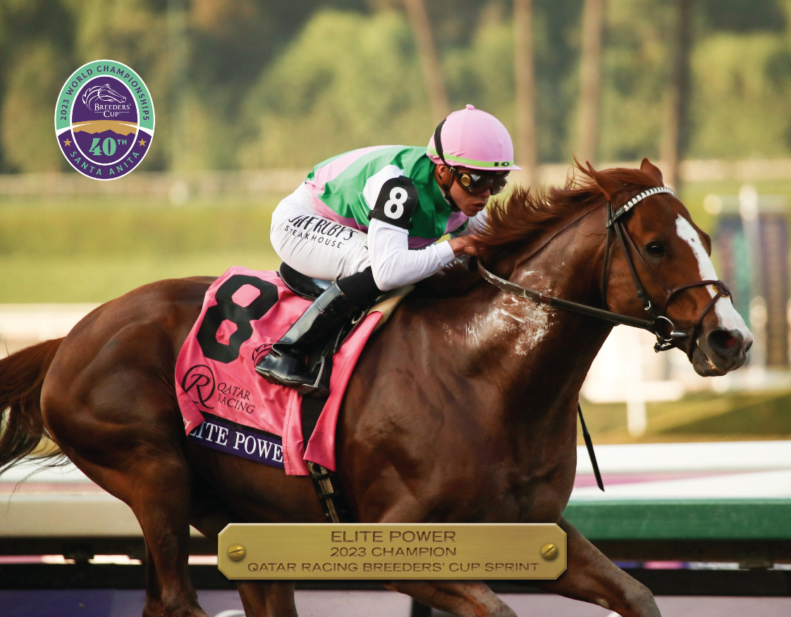 2023 Qatar Racing Breeders&#39; Cup Sprint Champion