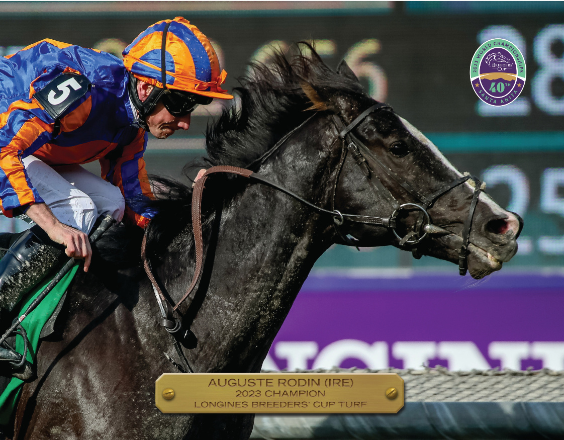 2023 Longines Breeders&#39; Cup Turf Champion