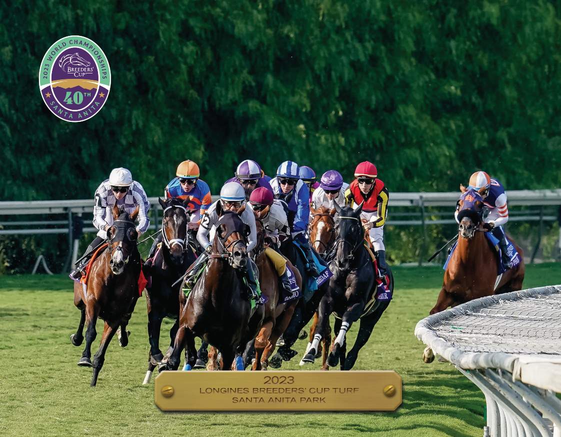 2023 Longines Breeders&#39; Cup Turf Participant