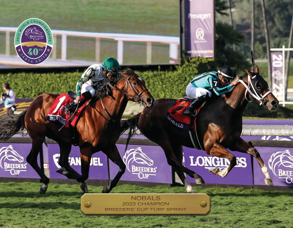 2023 Breeders&#39; Cup Turf Sprint Champion