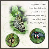 Butterflies and Happiness