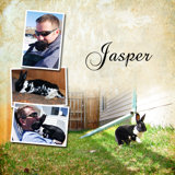 Jasper