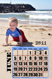 June 2011 Calendar